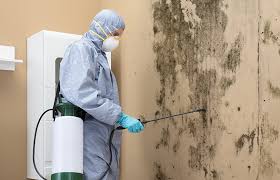 Best Residential Mold Inspection & Testing  in New Roads, LA